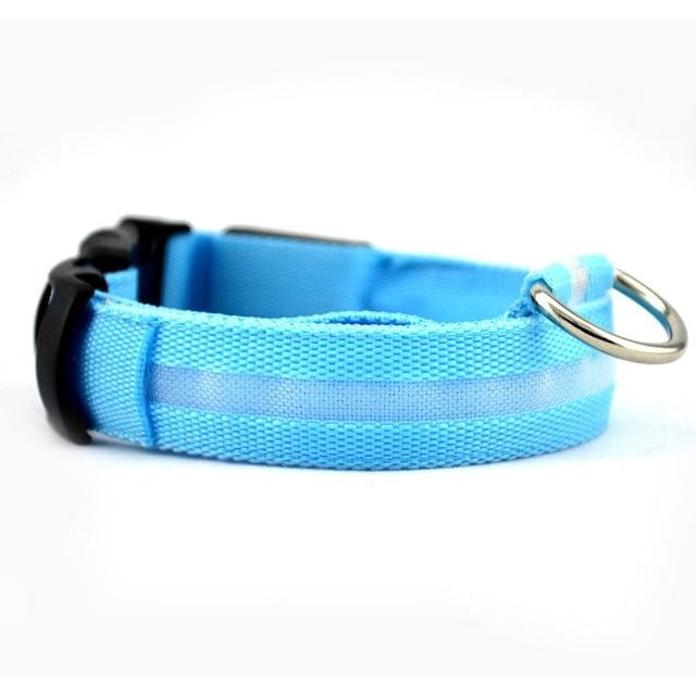 Glow In The Dark Collar - Keep Your Pet Safe and Seen After Dark - Uki Ecommerce Specialist